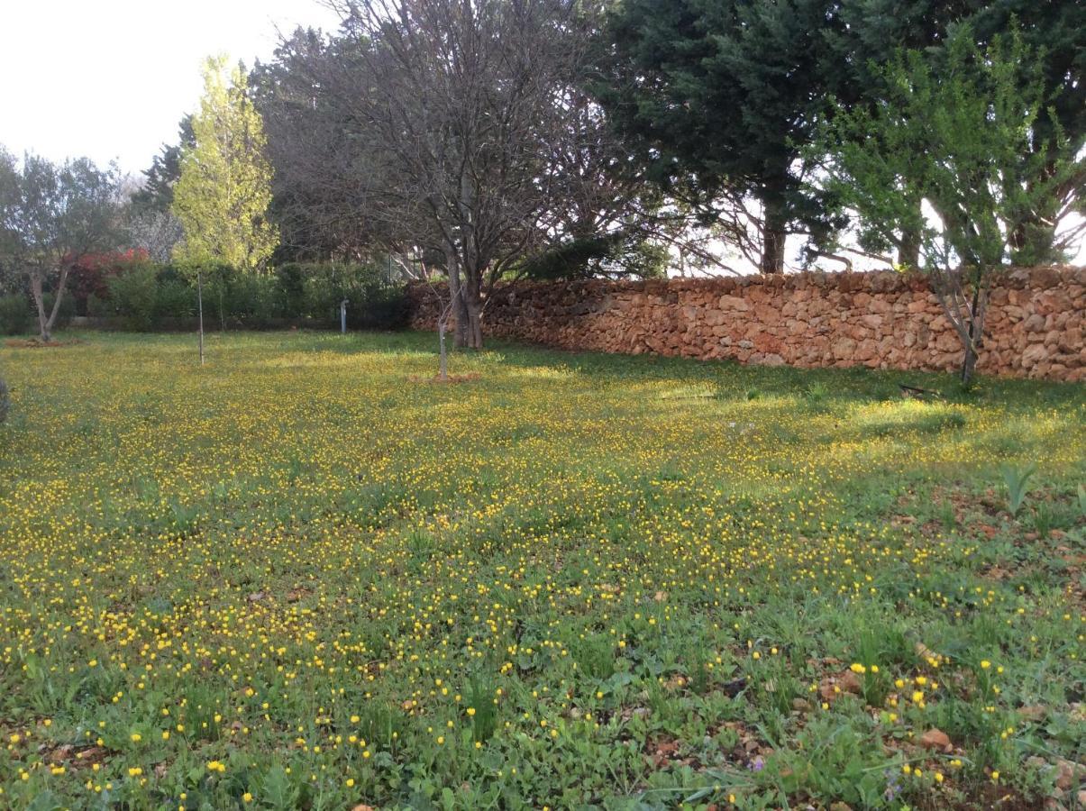 Montfort-sur-Argens Villa Faro Provence Var מראה חיצוני תמונה